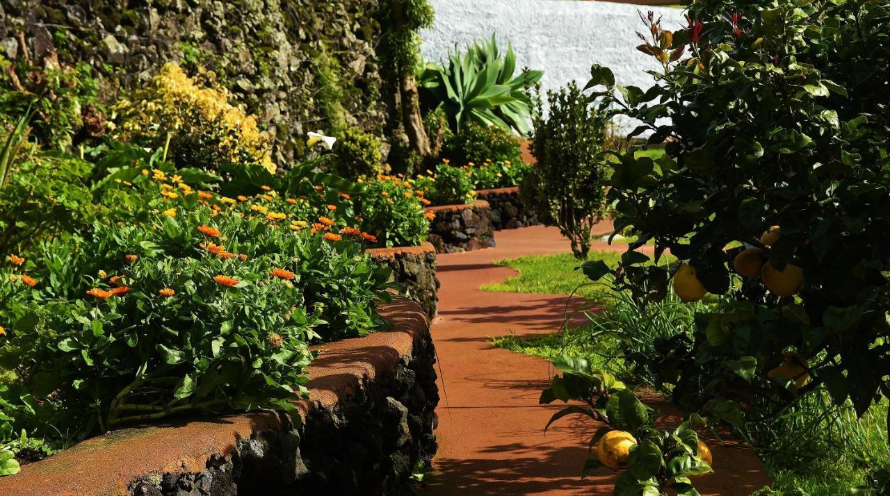 Quinta Dos Sentidos , Rustic Holiday Houses In São Vicente Ferreira Exteriér fotografie