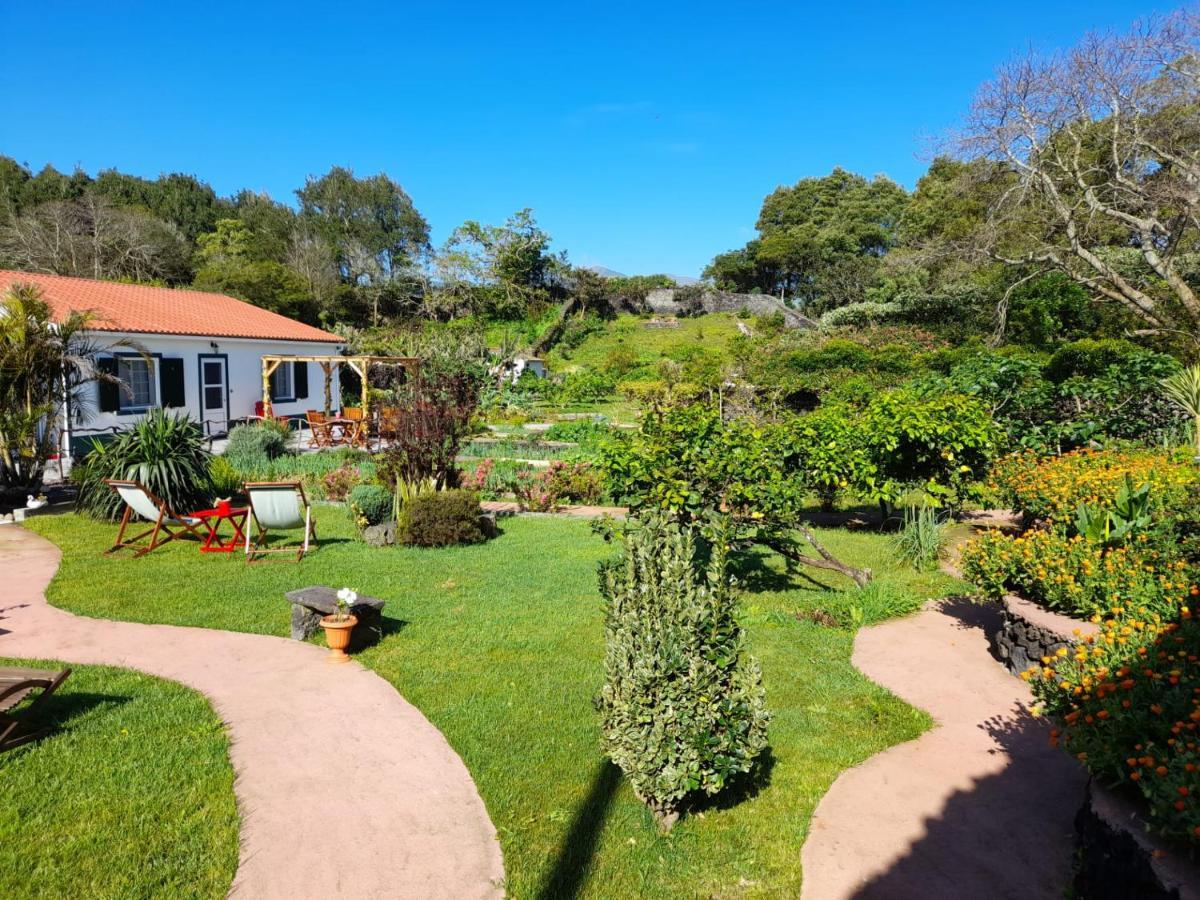 Quinta Dos Sentidos , Rustic Holiday Houses In São Vicente Ferreira Exteriér fotografie