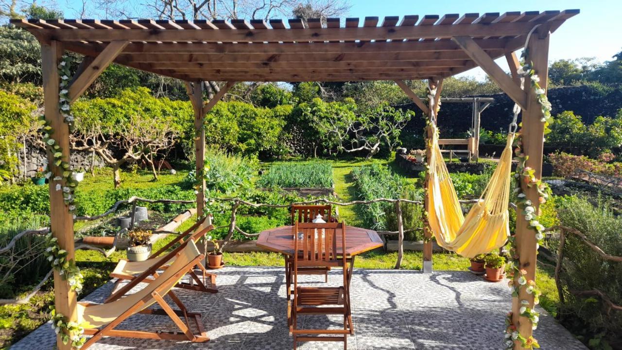 Quinta Dos Sentidos , Rustic Holiday Houses In São Vicente Ferreira Exteriér fotografie