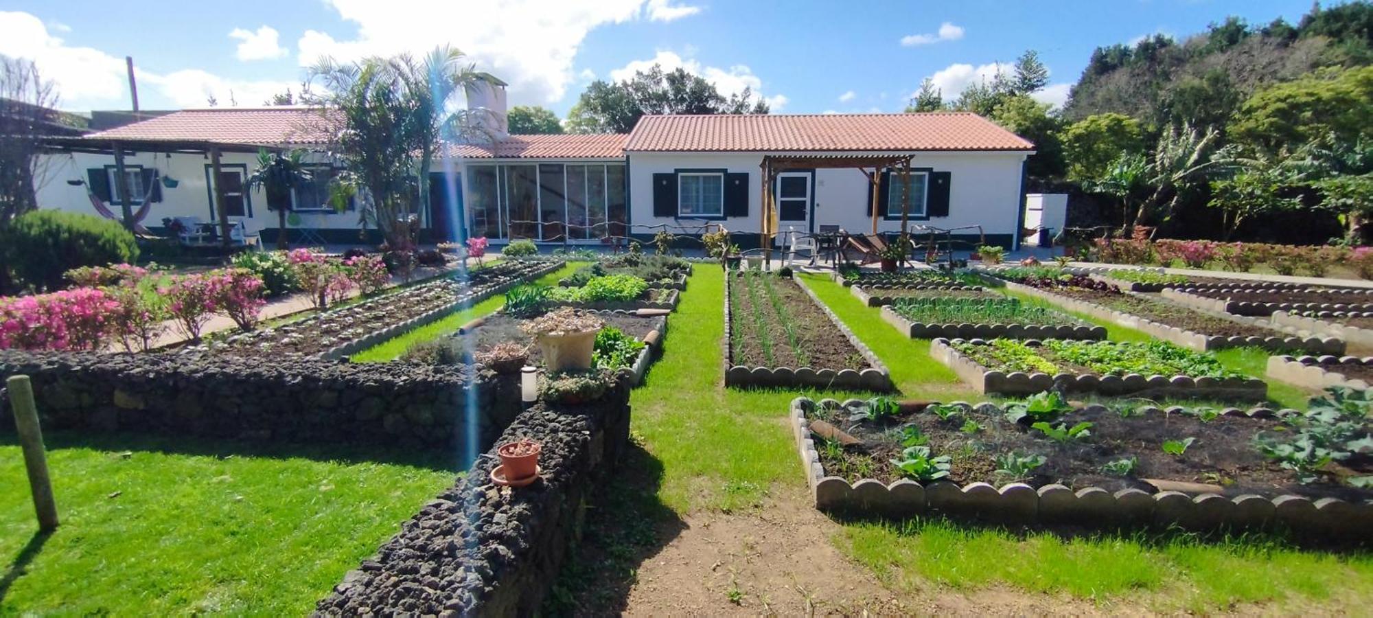 Quinta Dos Sentidos , Rustic Holiday Houses In São Vicente Ferreira Exteriér fotografie