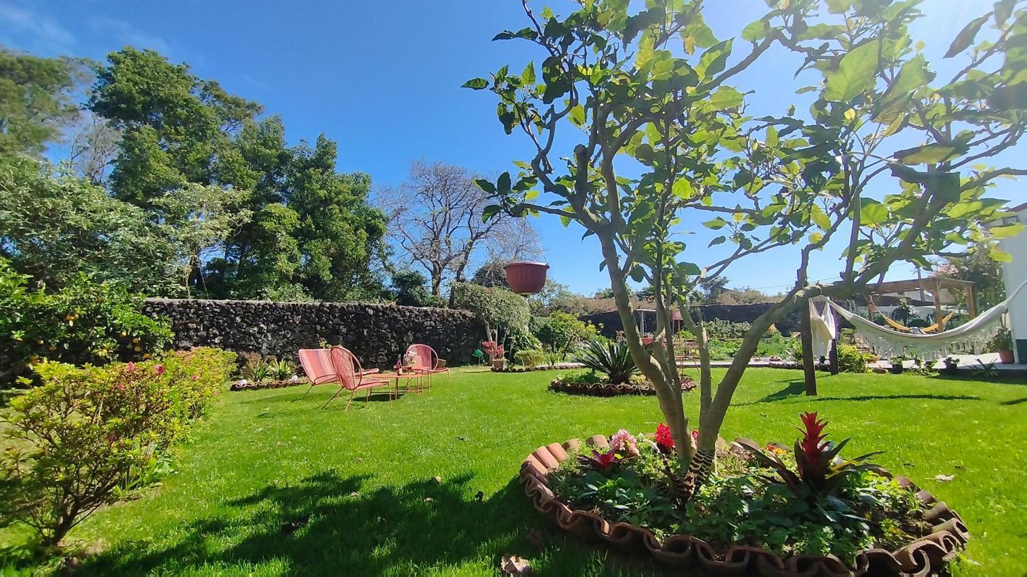 Quinta Dos Sentidos , Rustic Holiday Houses In São Vicente Ferreira Exteriér fotografie
