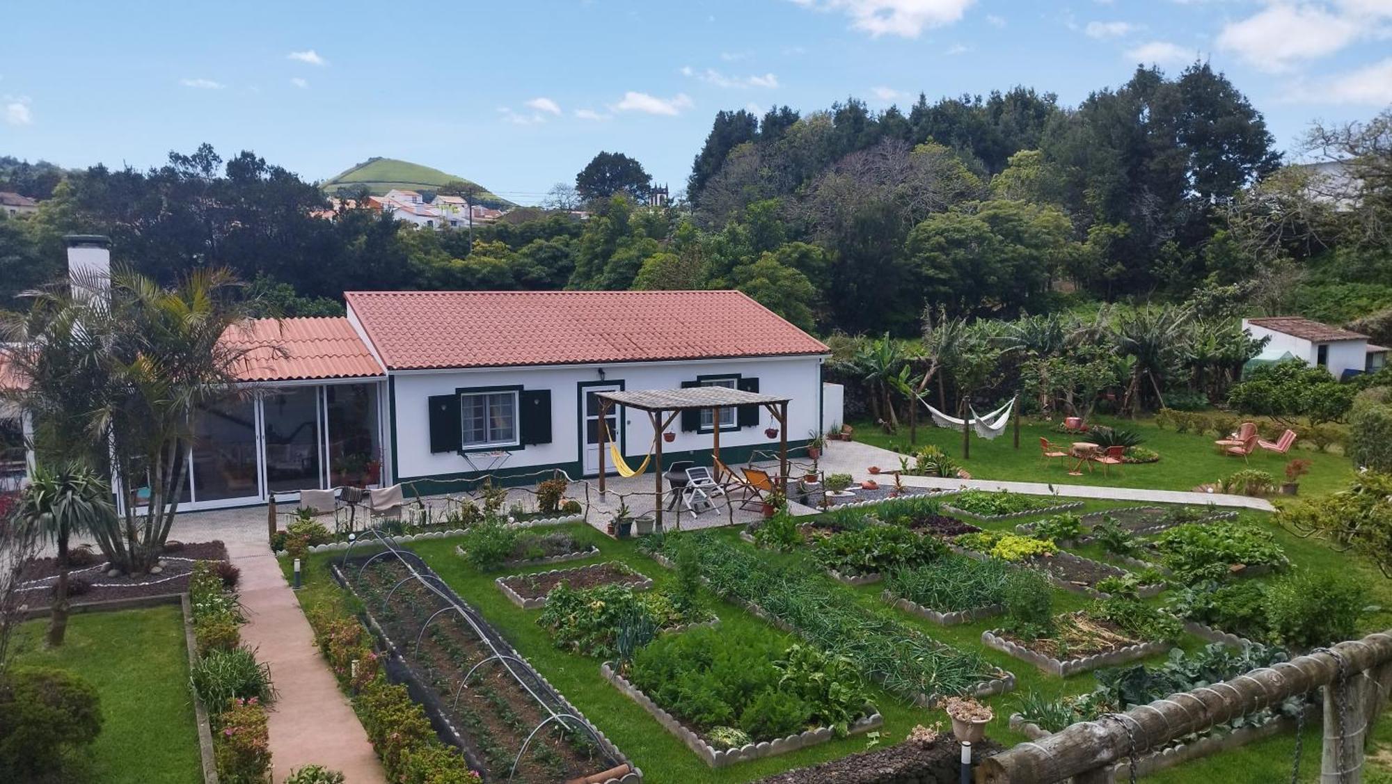 Quinta Dos Sentidos , Rustic Holiday Houses In São Vicente Ferreira Exteriér fotografie