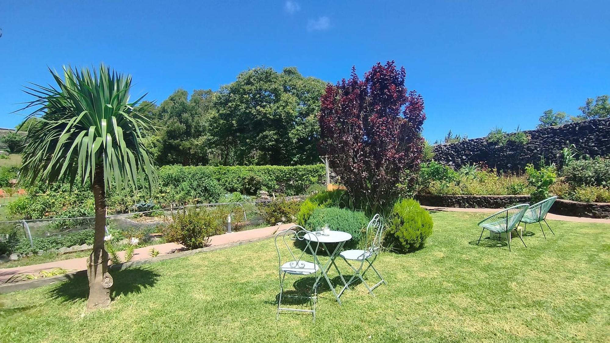 Quinta Dos Sentidos , Rustic Holiday Houses In São Vicente Ferreira Exteriér fotografie