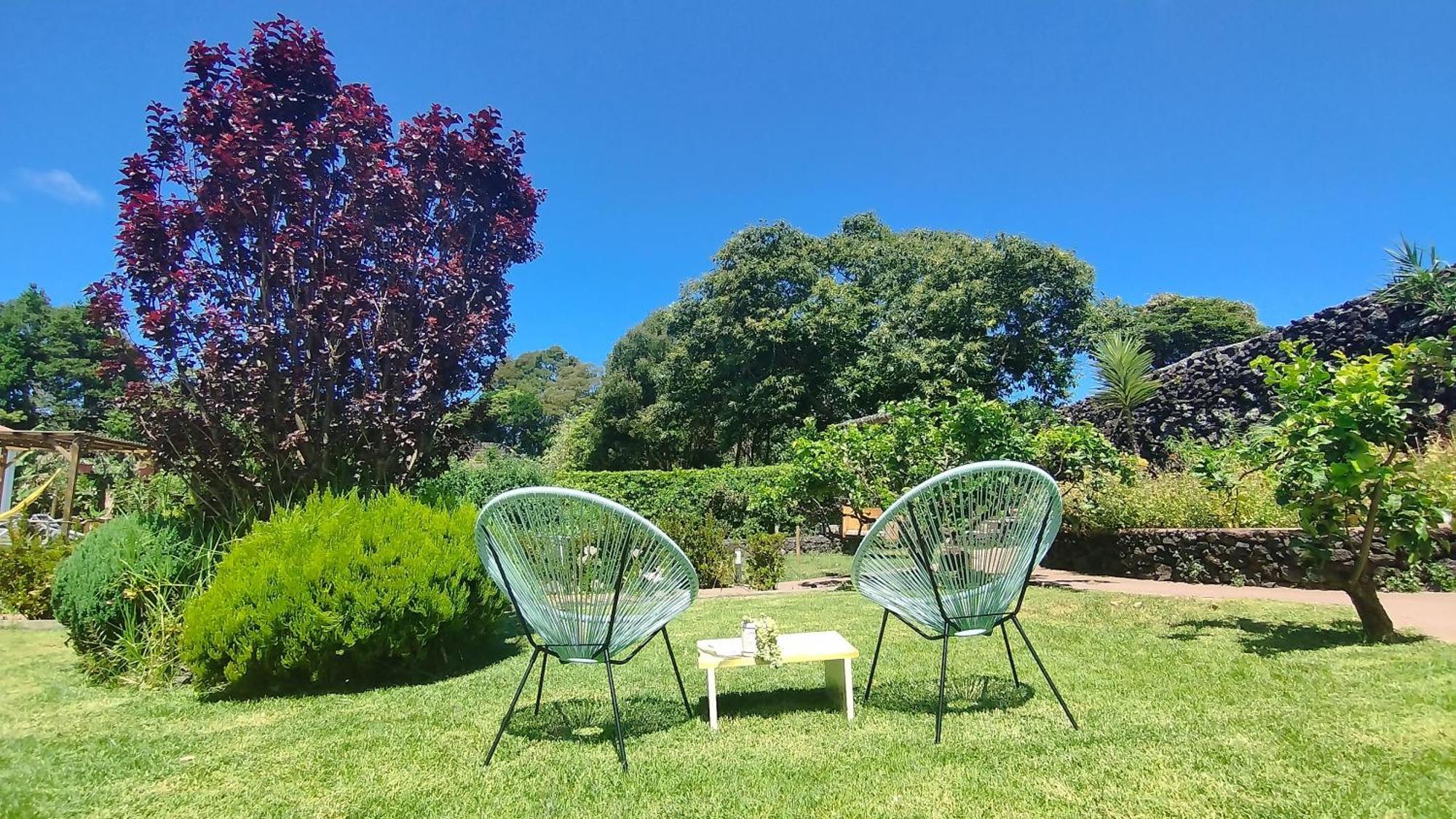 Quinta Dos Sentidos , Rustic Holiday Houses In São Vicente Ferreira Exteriér fotografie